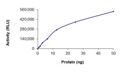 Sino Biological&nbsp;Recombinant Human PTC2 (PRKAR1A & RET) Protein (GST Tag), Active